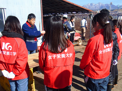 山梨大学認定のワイン科学士による葡萄のお話