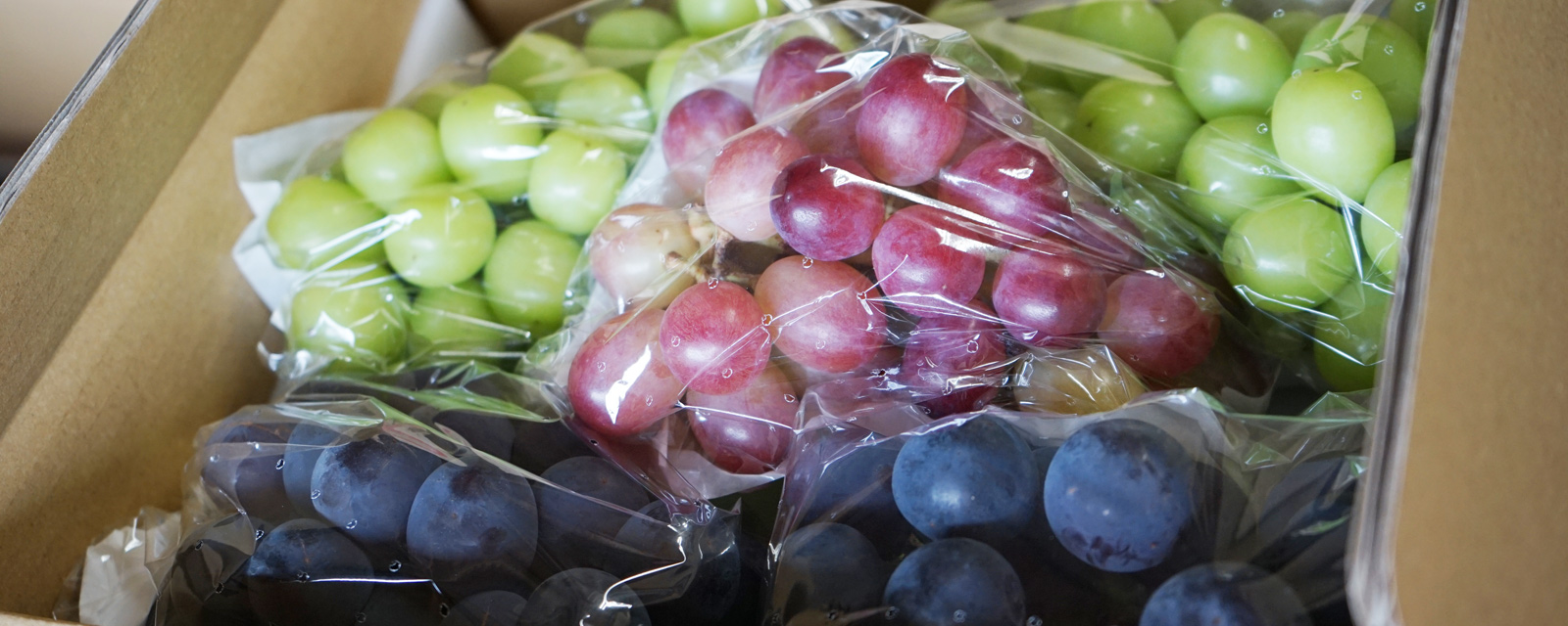 葡萄のカラフル3色セット